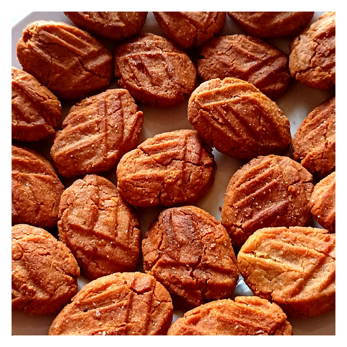 Thekua – Sugar-Free (Classic) | Diabetic-Friendly